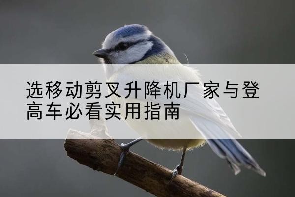 芦溪电动升降机厂家-选移动剪叉升降机厂家与登高车必看实用指南