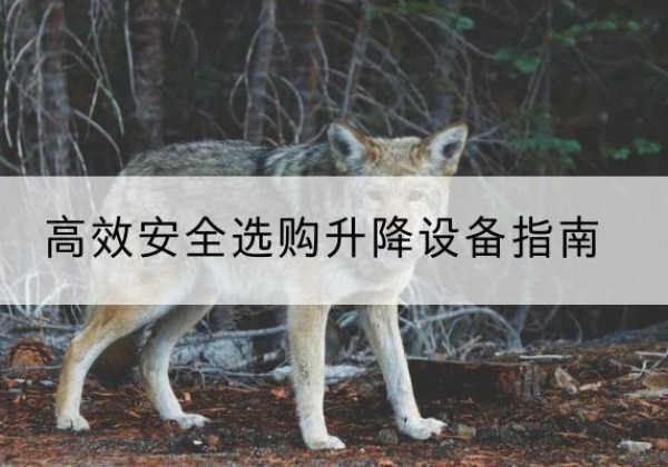 芦溪升降货梯厂家推荐-*安全选购升降设备指南