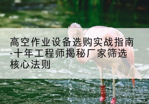 芦溪剪叉式升降机厂家-高空作业设备选购实战指南-十年工程师揭秘厂家筛选核心法则